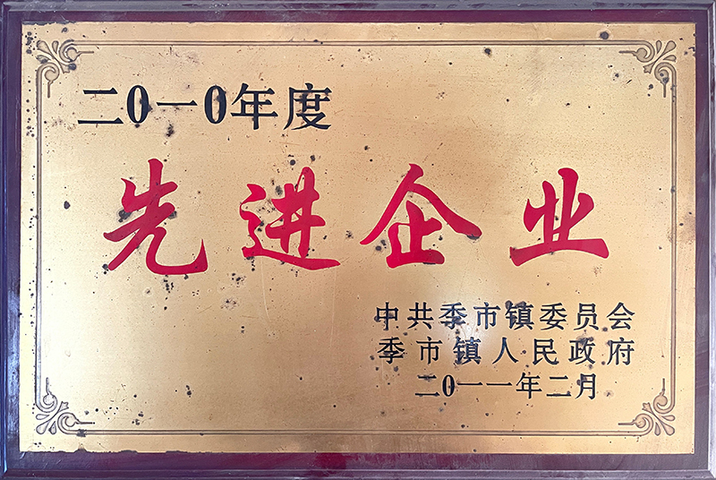 2010年度先進(jìn)企業(yè)